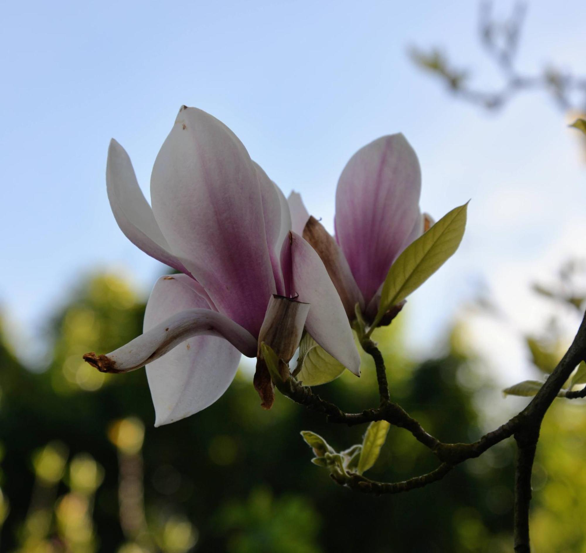 Agroturismo Les Jardins Des 3 Soeurs *